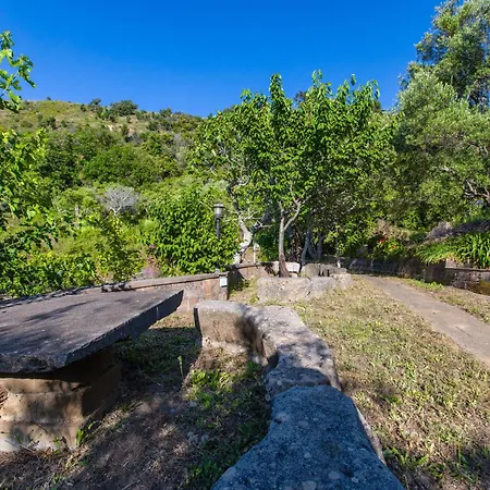 Casa Del Cedro * Gioiosa Marea